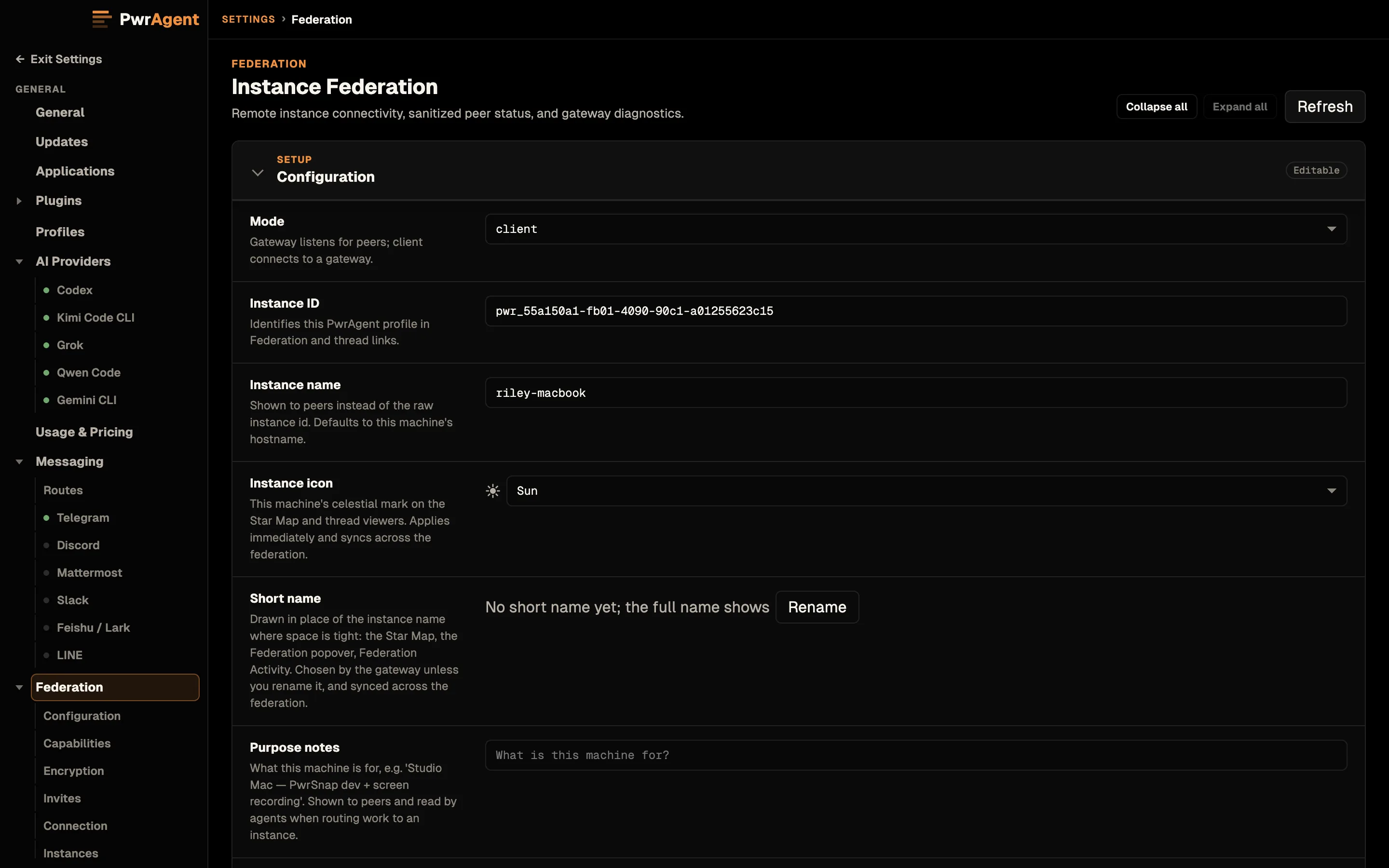 Settings, Federation, titled Instance Federation, on the Configuration section. Mode is client. Instance ID shows this profile's identifier, Instance name reads riley-macbook, and Instance icon is Sun. Short name has none yet, with a Rename button, and Purpose notes is empty.